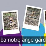 Banni&egrave;re photo et toise de croissance S&eacute;lestat 6
