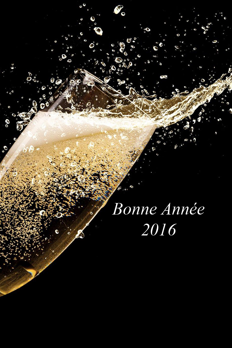 Bonne Ann&eacute;e 2016 Benfeld