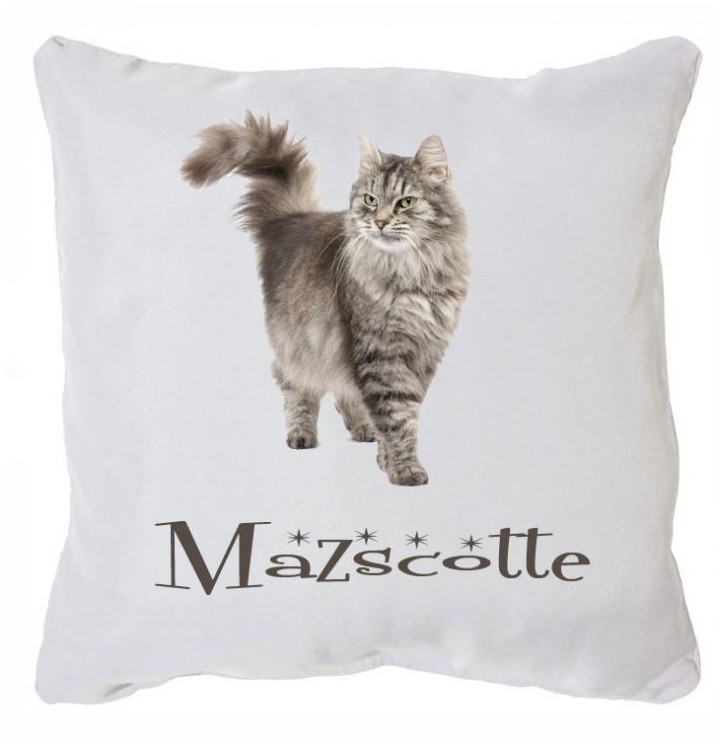 Coussin Illkirch-Graffenstaden