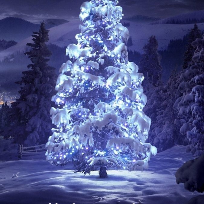 Prenez de l’avance dans la hotte du p&egrave;re No&euml;l …Photo Pulicano &agrave; la rescousse pour vos cadeaux. Obernai