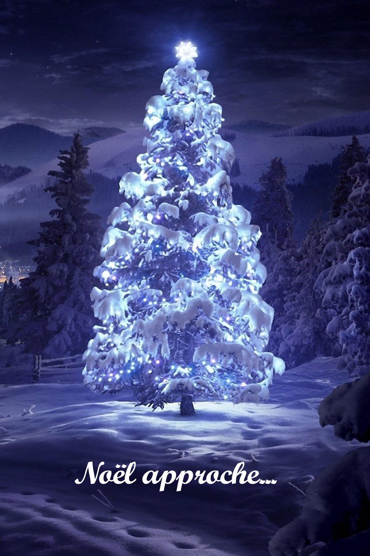 Prenez de l’avance dans la hotte du p&egrave;re No&euml;l …Photo Pulicano &agrave; la rescousse pour vos cadeaux. Obernai