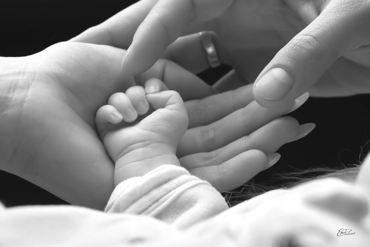 4780 | Pulicano SARL Portrait de grossesse, naissance, enfant, famille, corporate, couple, so sexy, animaux Molsheim 12